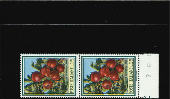 Immagine di 1061 - FLORA 25 L