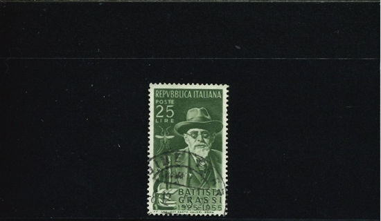 Immagine di 789 - GRASSI