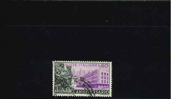 Immagine di 787 - FAO