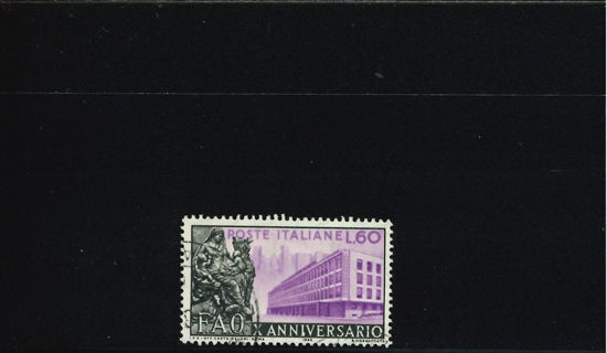 Immagine di 787 - FAO