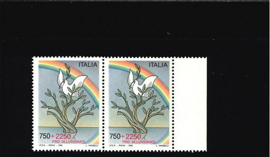 Immagine di 2137 - PRO ALLUVIONATI