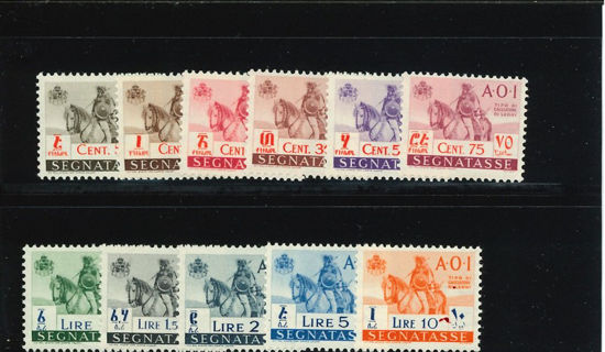 Immagine di 14 - INDIGENO A CAVALLO