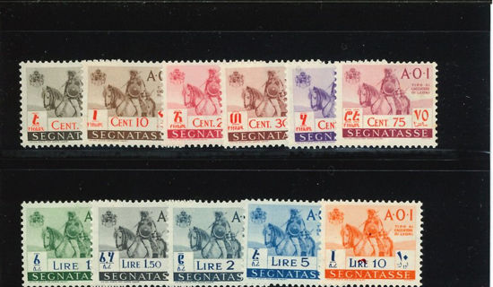 Immagine di 14 - INDIGENO A CAVALLO