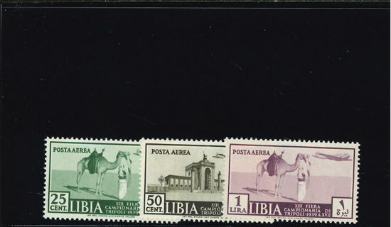 Immagine di 38 - XIII° FIERA