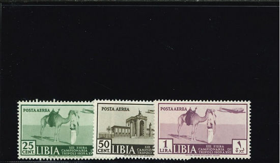 Immagine di 38 - XIII° FIERA