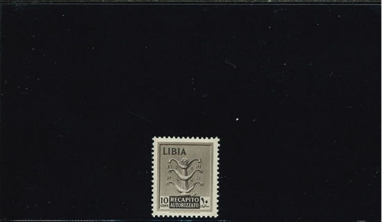 Immagine di 5 - 10C. BRUNO GRIGIO N.E.