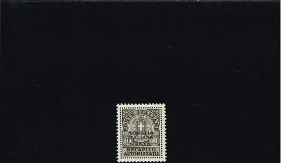 Immagine di 2 - 10C. BRUNO GRIGIO 