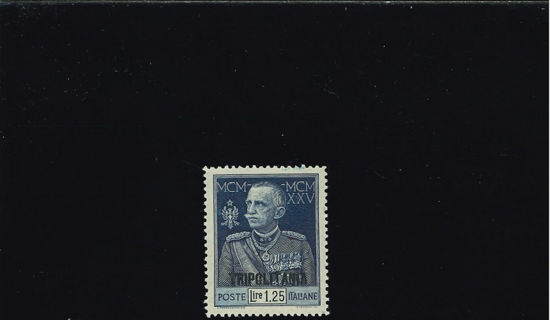 Immagine di 27 - GIUBILEO DENT. 13,3 1,25L.