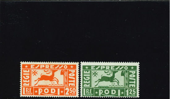 Immagine di 1 - CERVO IN CORSA