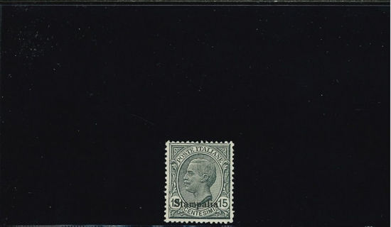 Immagine di 10 - EMISSIONI GENERALI 15C. GRIGIO