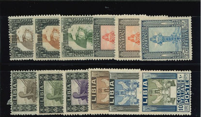 Immagine di 21 - PITTORICA CON FIL. DENT. 14