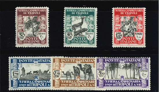 Immagine di 81 - III° FIERA