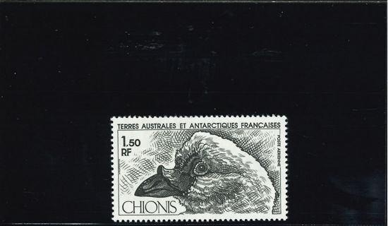 Immagine di 67 - FAUNA: UCCELLI