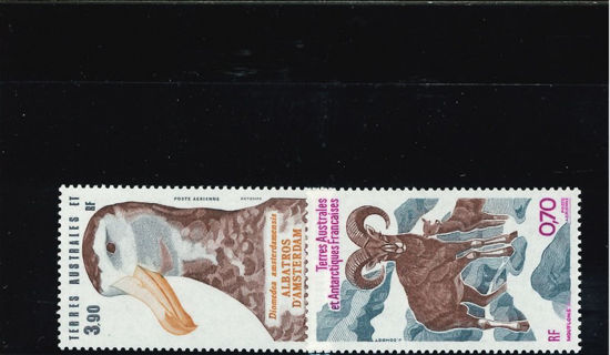 Immagine di 86 - FAUNA