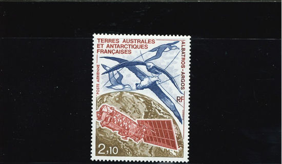 Immagine di 115 - FAUNA: ALBATROS