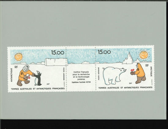 Immagine di 120A - SCIENZE RICERCA POLARE-TRITTICO-