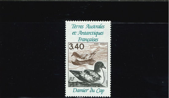 Immagine di 121 - FAUNA: UCCELLI