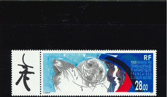 Immagine di 136 - FAUNA: FOCHE