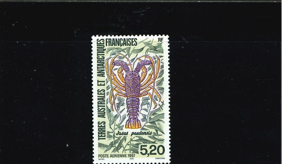 Immagine di 141 - FAUNA: LOCUSTA