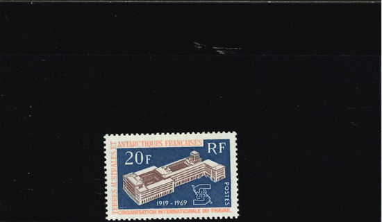 Immagine di 32 - O.I.L.