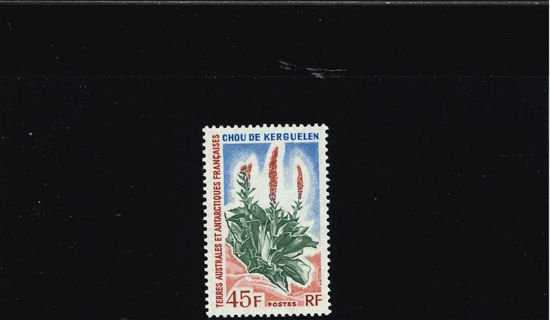 Immagine di 48 - FLORA