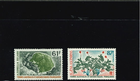 Immagine di 52 - FLORA