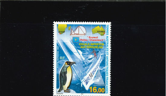 Immagine di 142 - VELIERO E PINGUINO