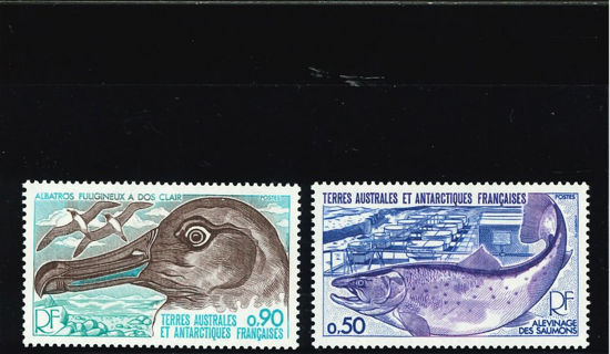 Immagine di 71 - FAUNA: UCCELLI E PESCI