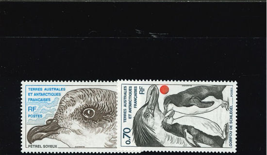 Immagine di 81 - FAUNA