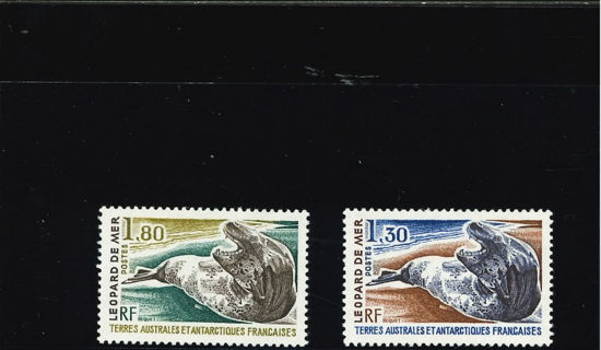 Immagine di 89 - FAUNA MARINA