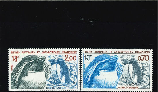 Immagine di 105 - FAUNA ANTARTICA