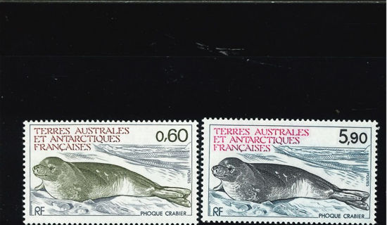 Immagine di 107 - FAUNA ANTARTICA