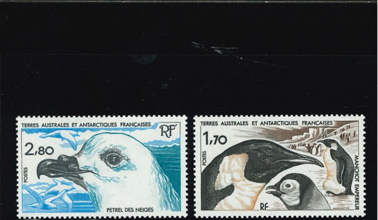 Immagine di 109 - FAUNA ANTARTICA