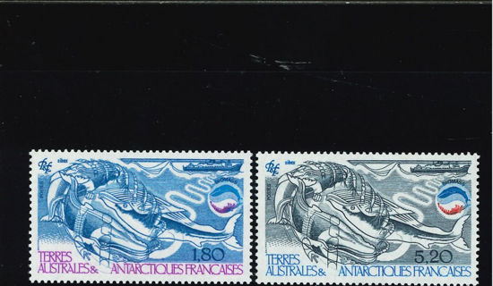 Immagine di 113 - LA BIOMASSA