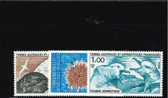 Immagine di 115 - FAUNA ANTARTICA