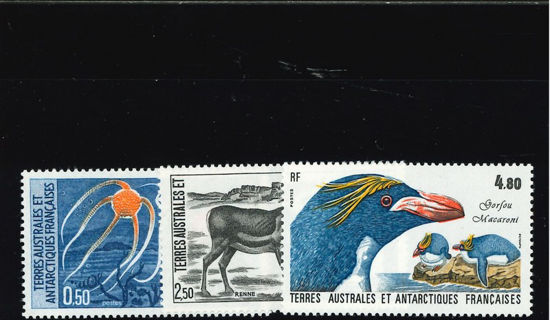 Immagine di 122 - FAUNA ANTARTICA