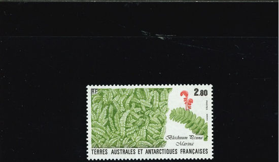 Immagine di 143 - FLORA