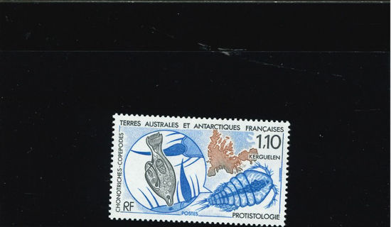 Immagine di 148 - CROSTACEI