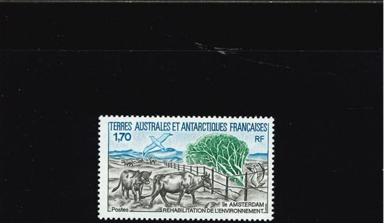 Immagine di 149 - FAUNA