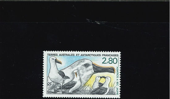 Immagine di 150 - FAUNA