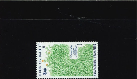 Immagine di 154 - FLORA