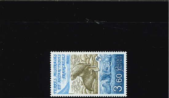 Immagine di 159 - FAUNA