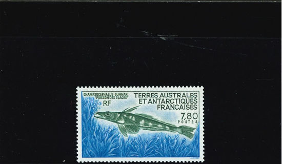 Immagine di 161 - FAUNA MARINA