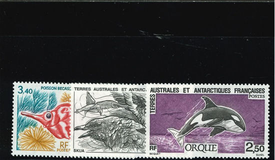 Immagine di 176 - FAUNA