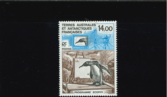 Immagine di 180 - TELECOMUNICAZIONI