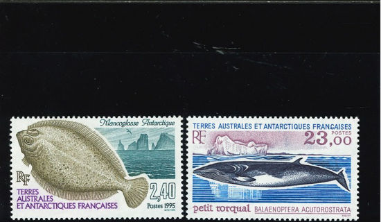 Immagine di 196 - FAUNA