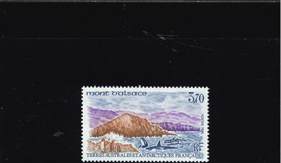 Immagine di 200 - IL MONTE DI ALSAZIA