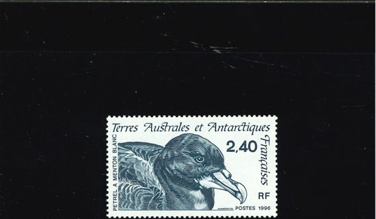 Immagine di 204 - FAUNA