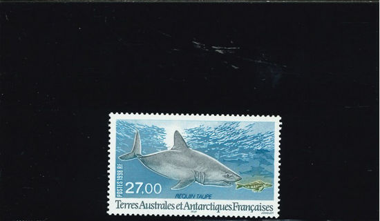 Immagine di 228 - FAUNA