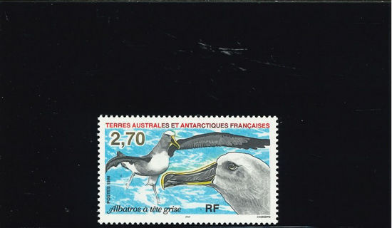 Immagine di 229 - FAUNA